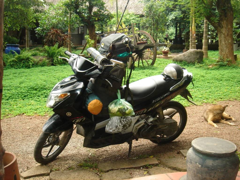 DSC01611.jpg