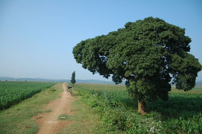 DSC_3643.jpg