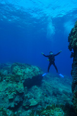 7233002452_6bbf16a3b0_m.jpg