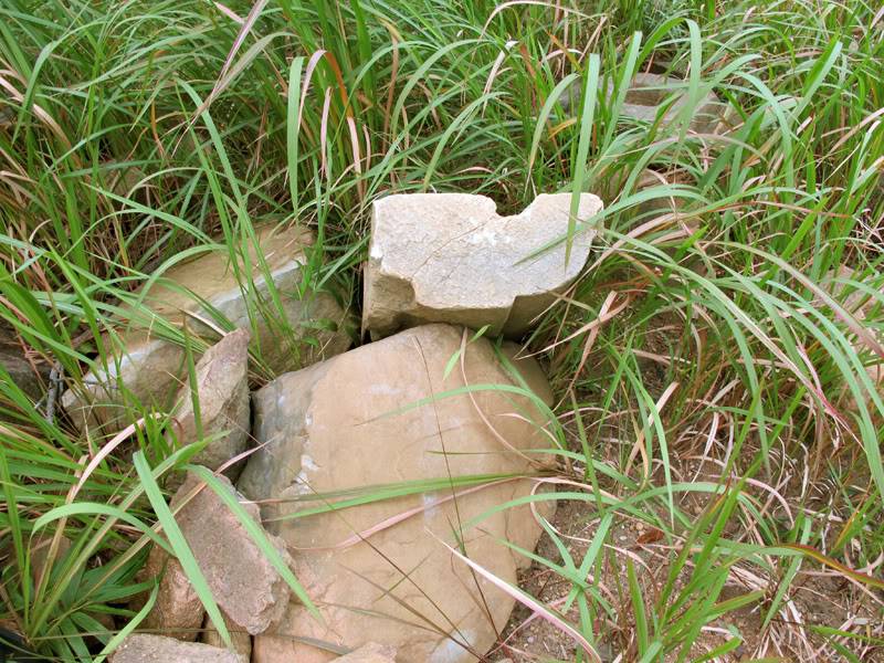 TayYenTu1010760.jpg