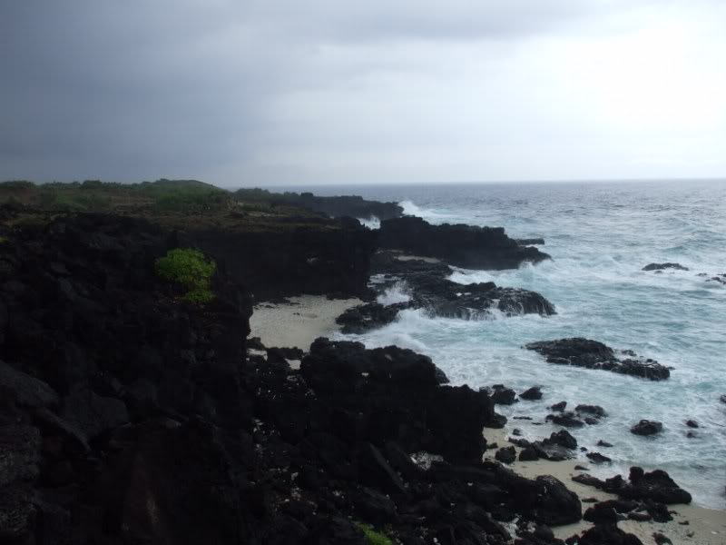 DSCF7036.jpg
