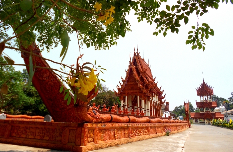 DSCN7804-1.jpg
