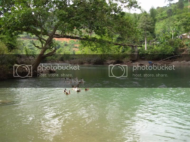 ResizeofIMG_0549.jpg