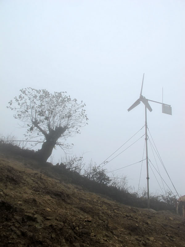 HongNgai2011555.jpg