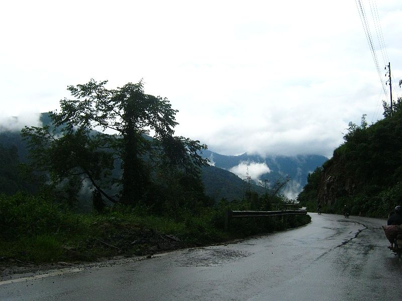 IMG_7168.jpg