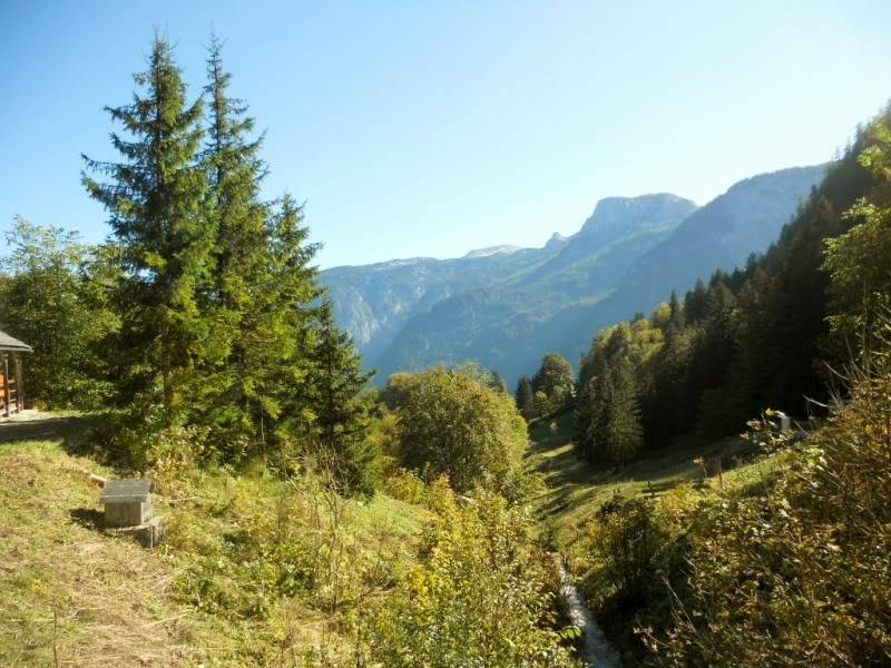 DSCN5338.jpg