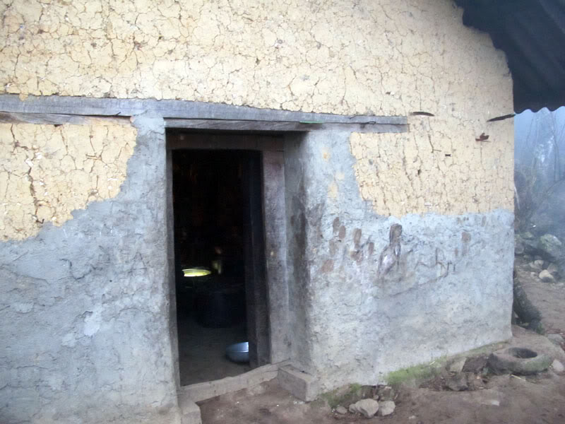HongNgai2011592.jpg
