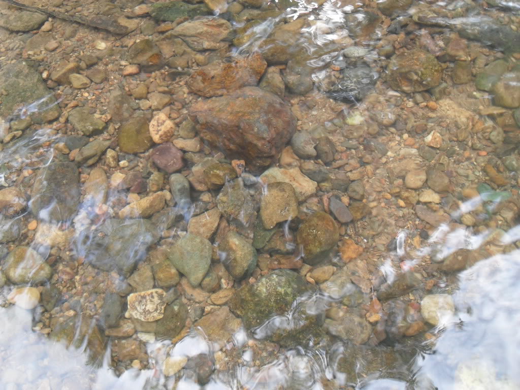 SDC14220.jpg