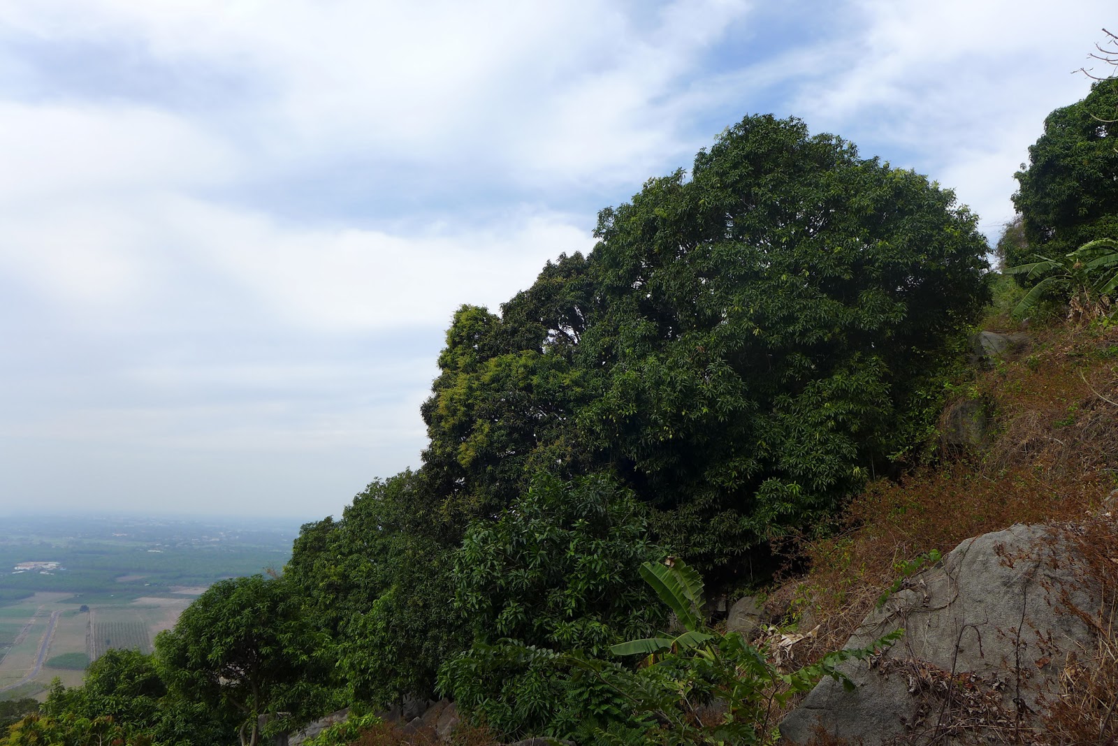 P1000611.JPG