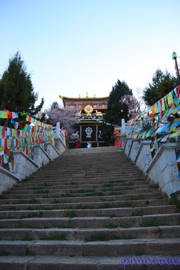 shangri-la177.jpg