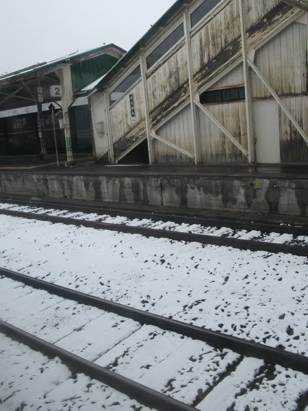 IMG_2991_resize.jpg