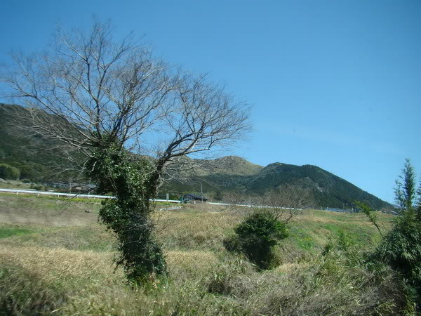 DSC02343_resize.jpg