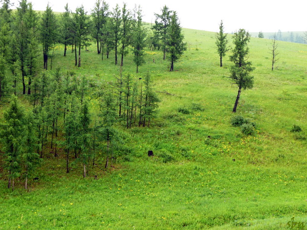 P1020765.jpg