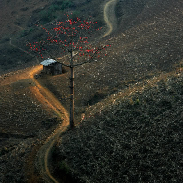caygao.jpg