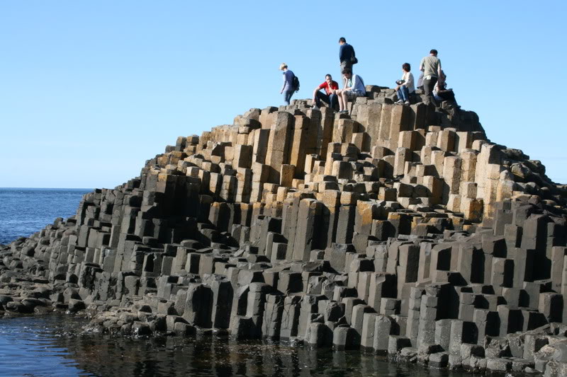 146.jpg