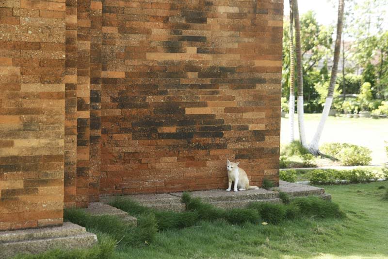 _MG_0044.jpg