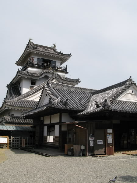 IMG_1369_resize.jpg