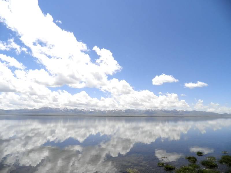 P7252968.jpg