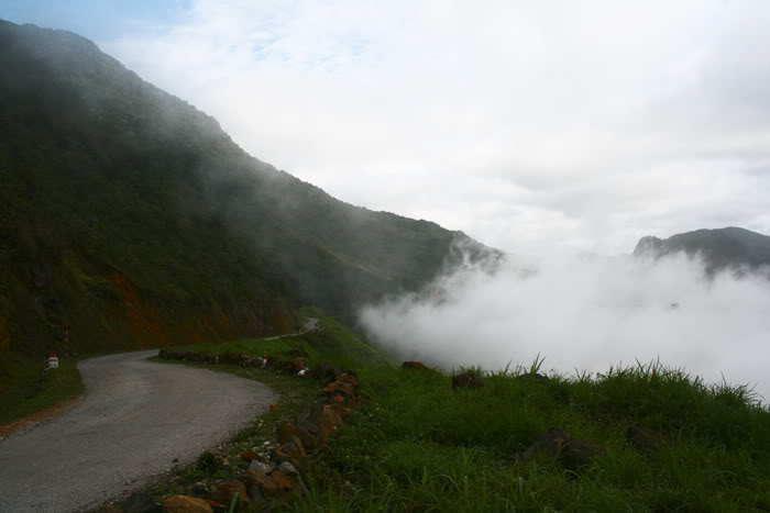 IMG_0890.jpg