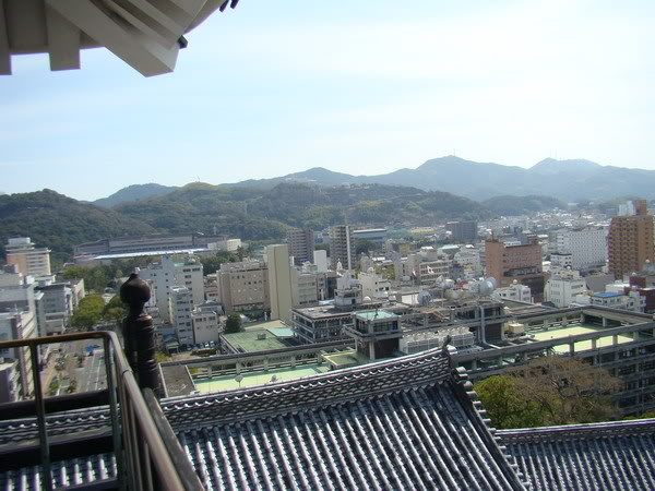 DSC02613_resize.jpg
