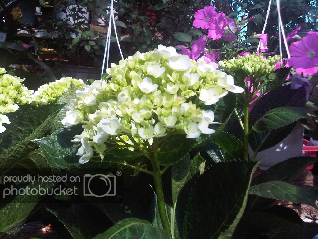 IMG-20111122-00170.jpg