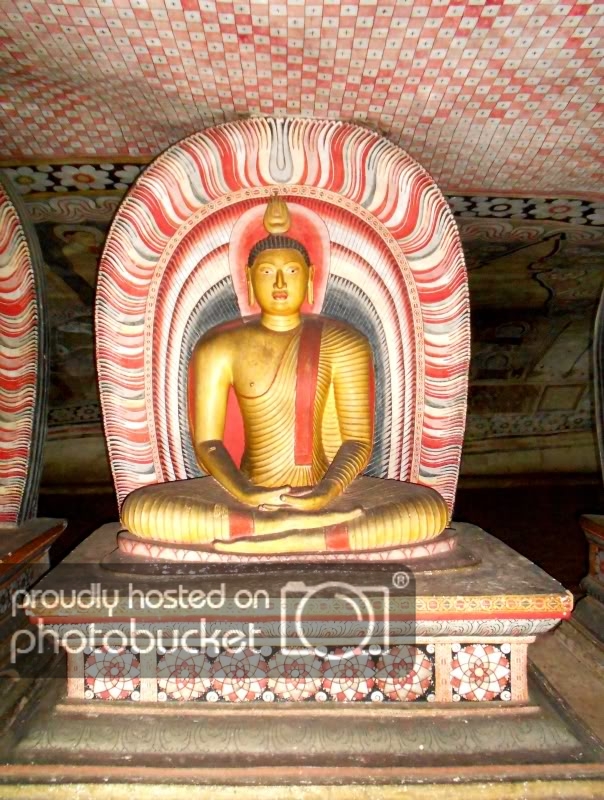 DSCN8095-1.jpg