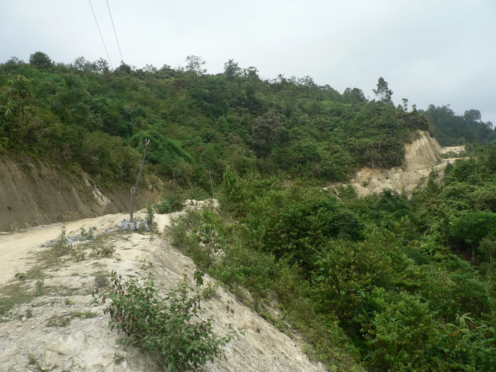 P1090899.jpg