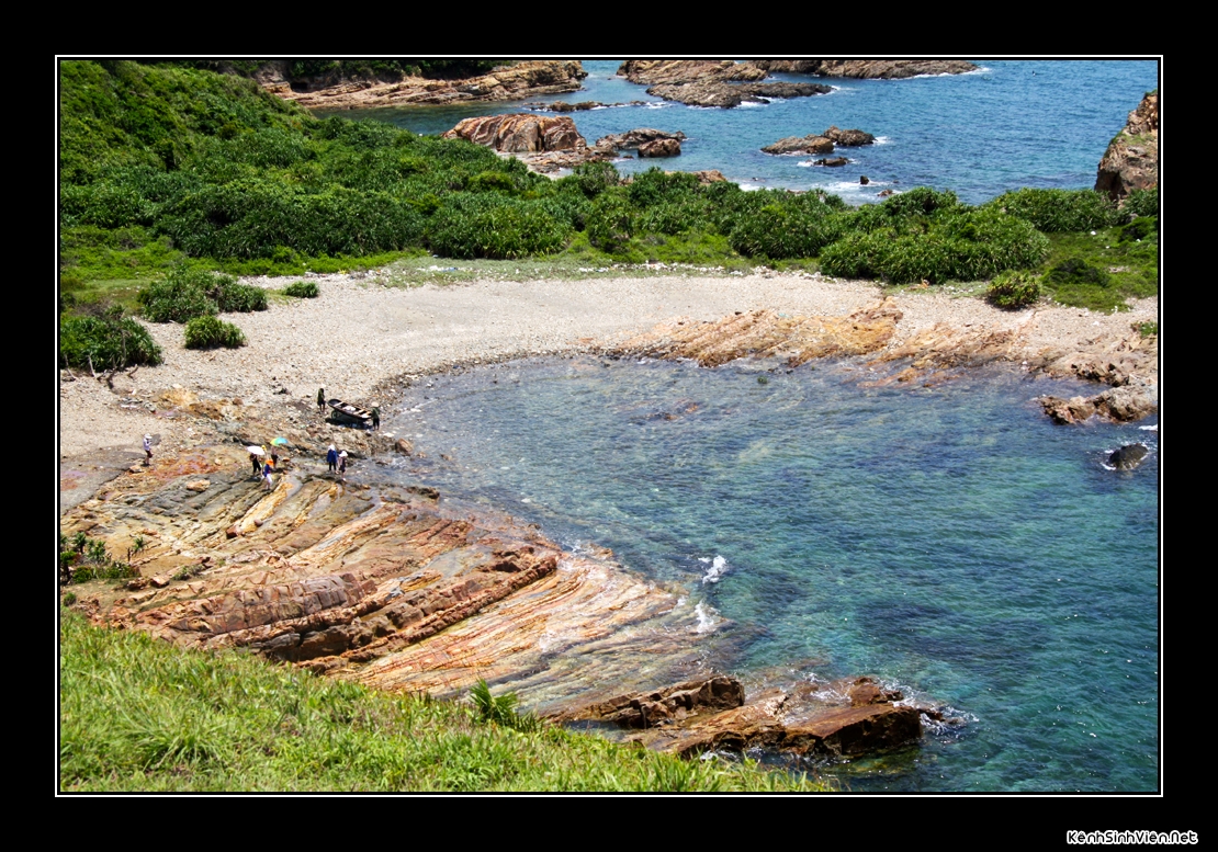 KenhSinhVien-f70b83f64663685d6175a8b9a2183382.jpg