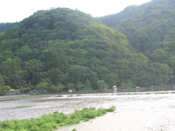 IMG_1334-2_resize.jpg