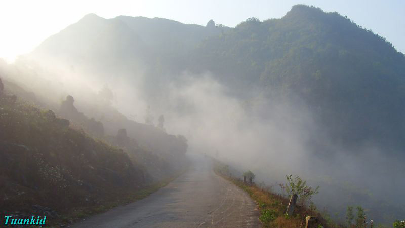 SDC16331.jpg