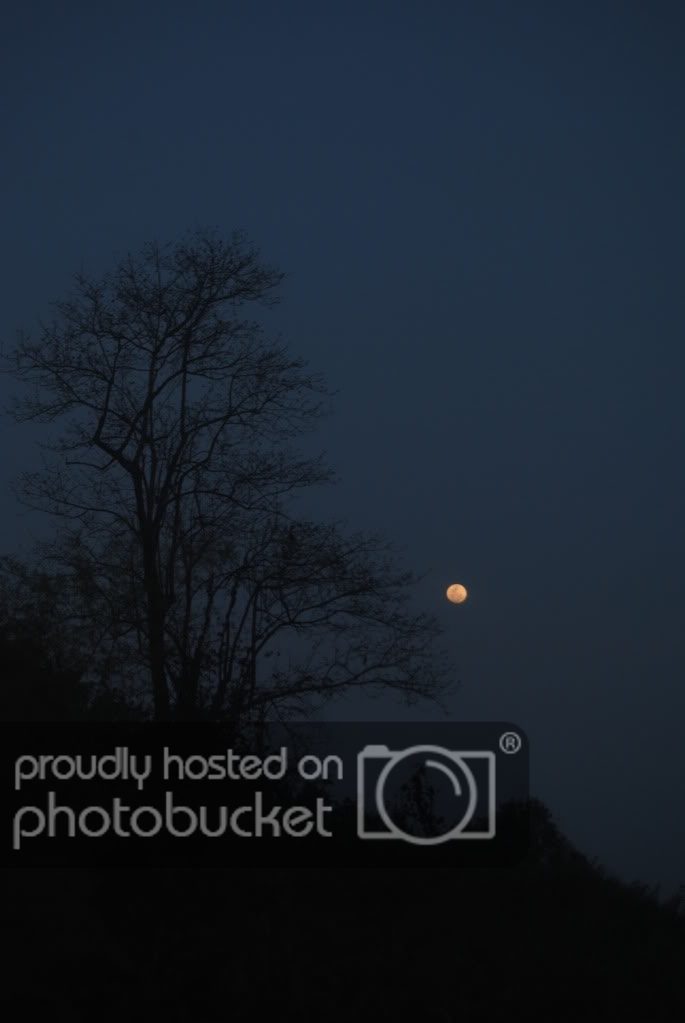 DSC_0339.jpg