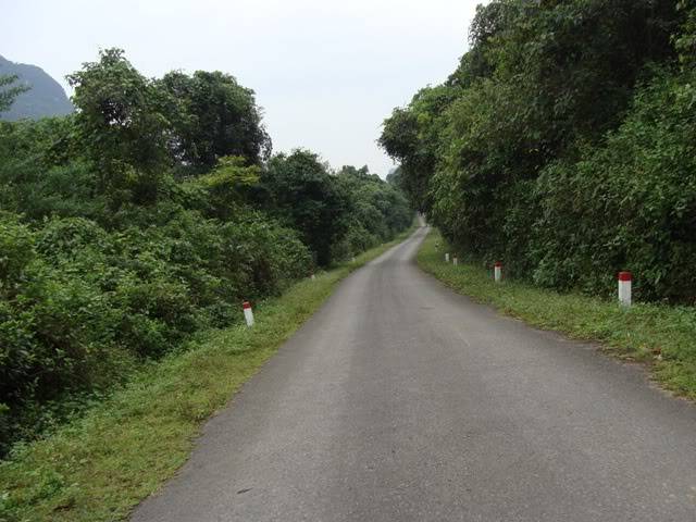 DSC08800.jpg