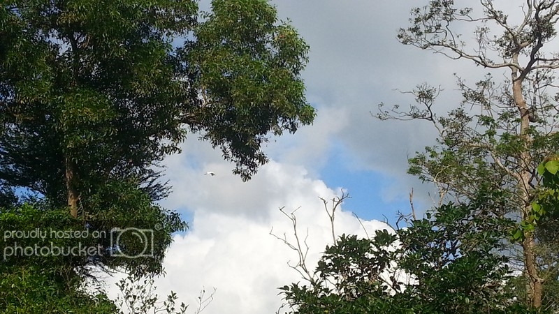 20121128_151533.jpg