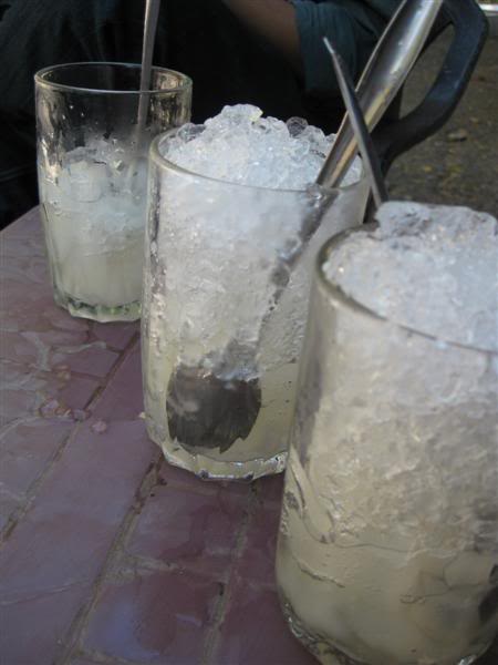 IMG_2534Medium.jpg
