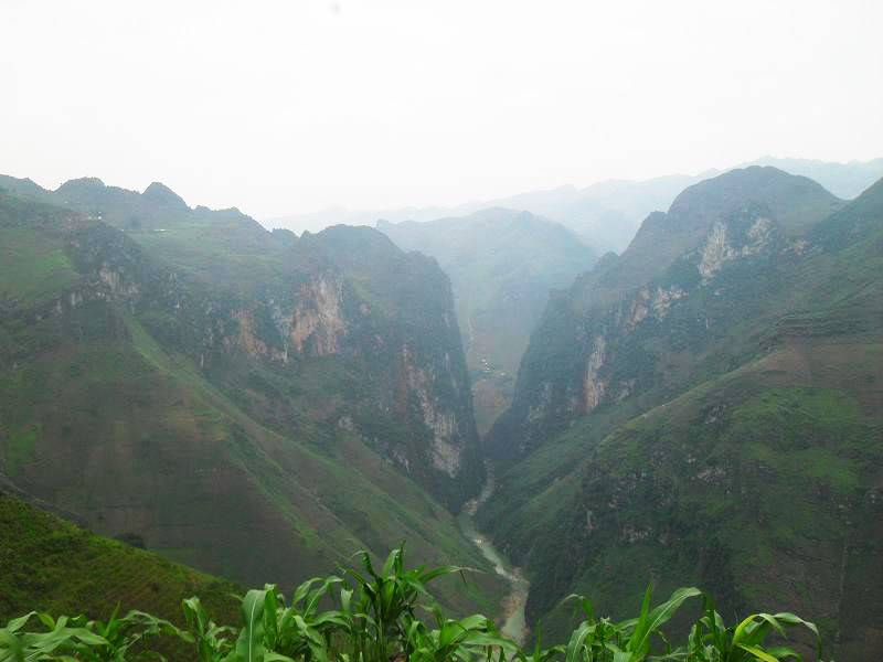 SDC15171.jpg