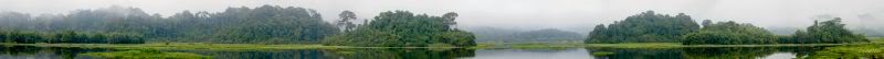 panaroma1-2-2.jpg