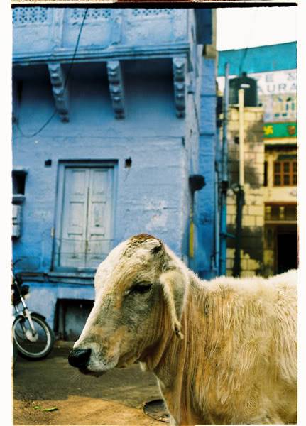 Jodhpur204.jpg