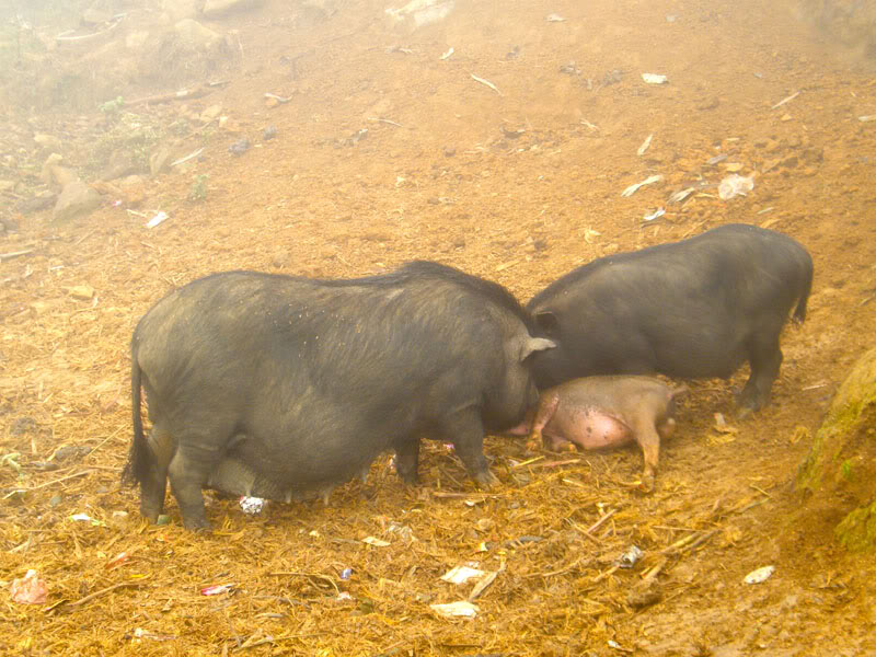 DSCF0482.jpg