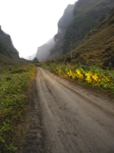DSCN7309.jpg