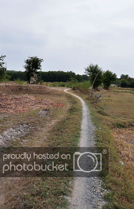 DSC_2166_zpsf87f9f6f.jpg