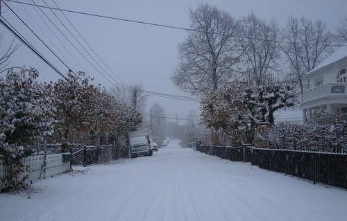 DSC00838.jpg
