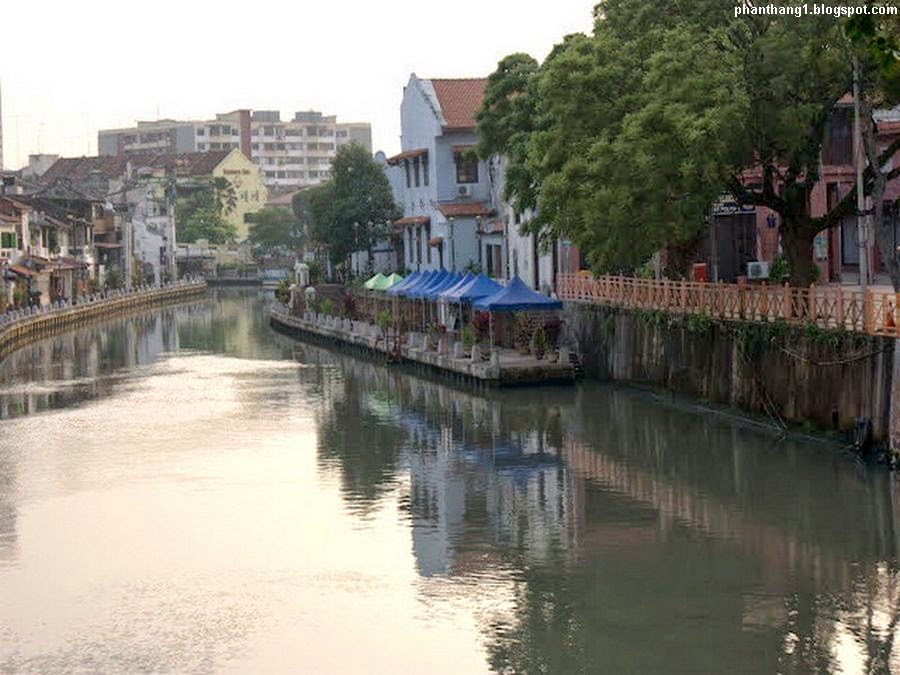 c014.jpg