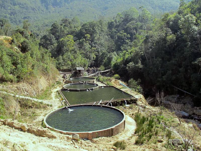 HongNgai2011143.jpg