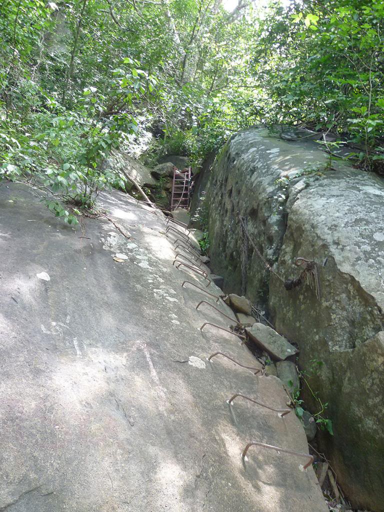 P1070190_zps19f5eb24.jpg