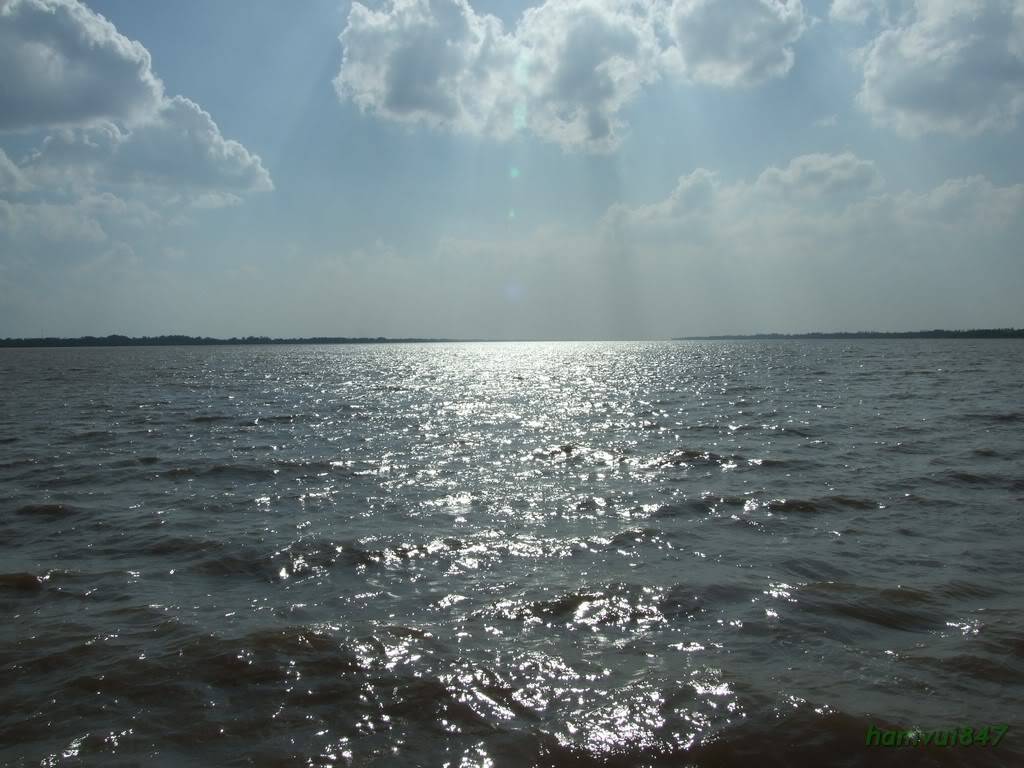 hoaminh-17.jpg