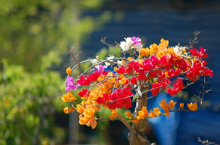 DSC_6928_resize.jpg