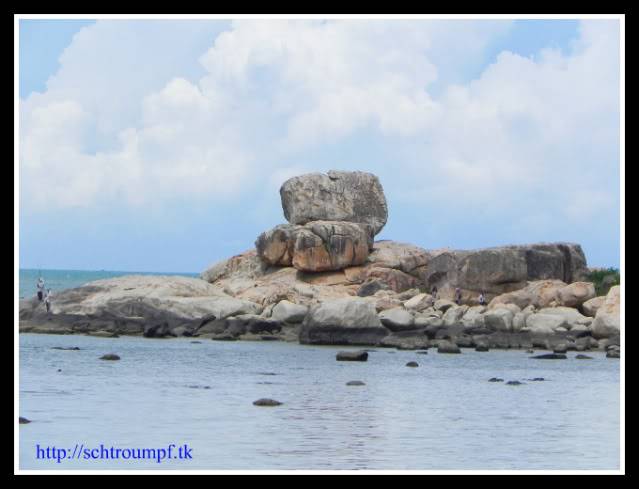 DSCN3979.jpg