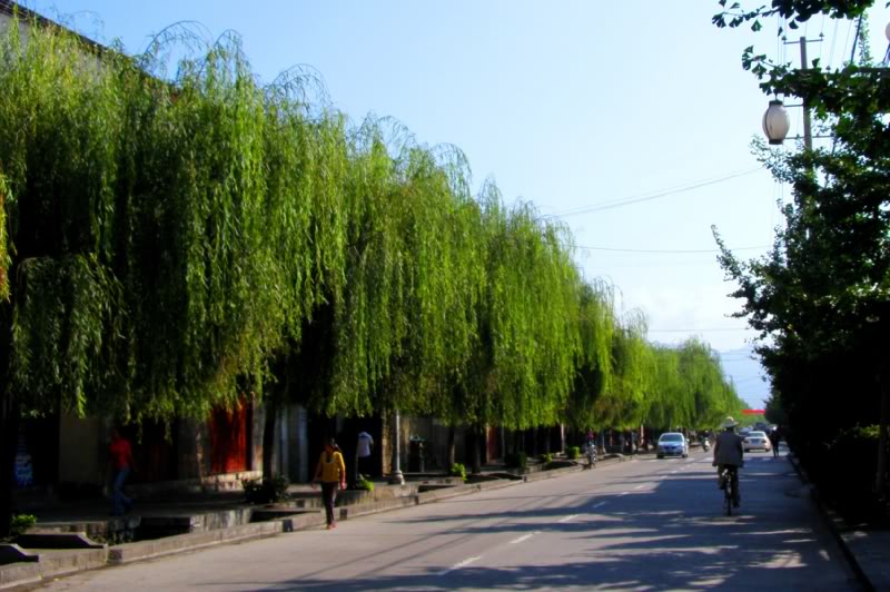 P9300077-1.jpg