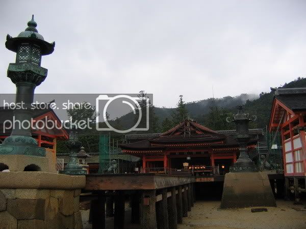 IMG_0946_resize.jpg