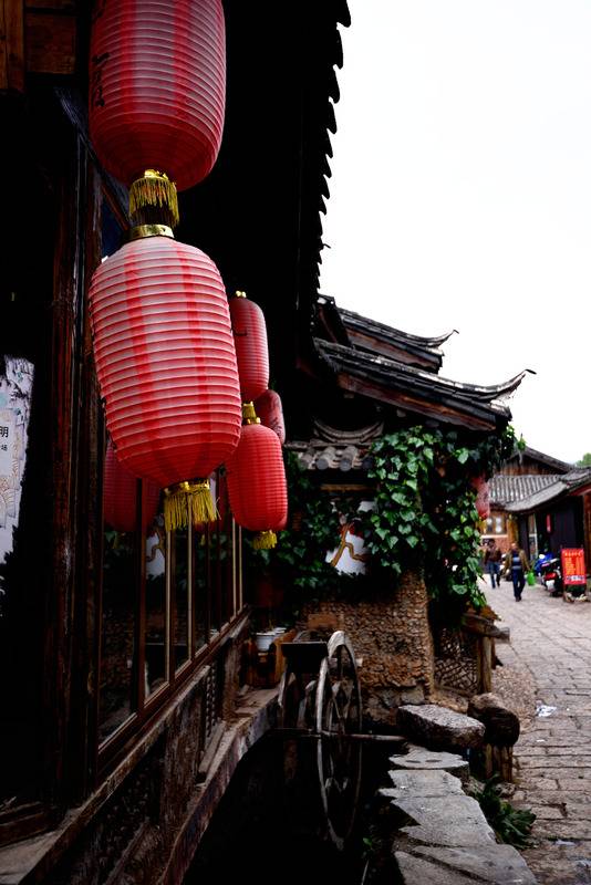 DSC_2306_zpsjykxuruf.jpg